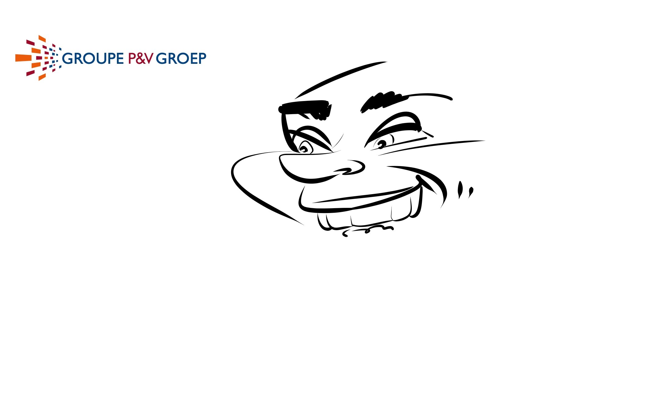 Group P&V Groep