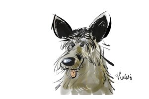 Montmartre in De Bergen 2019 Montmartre in De Bergen 2019