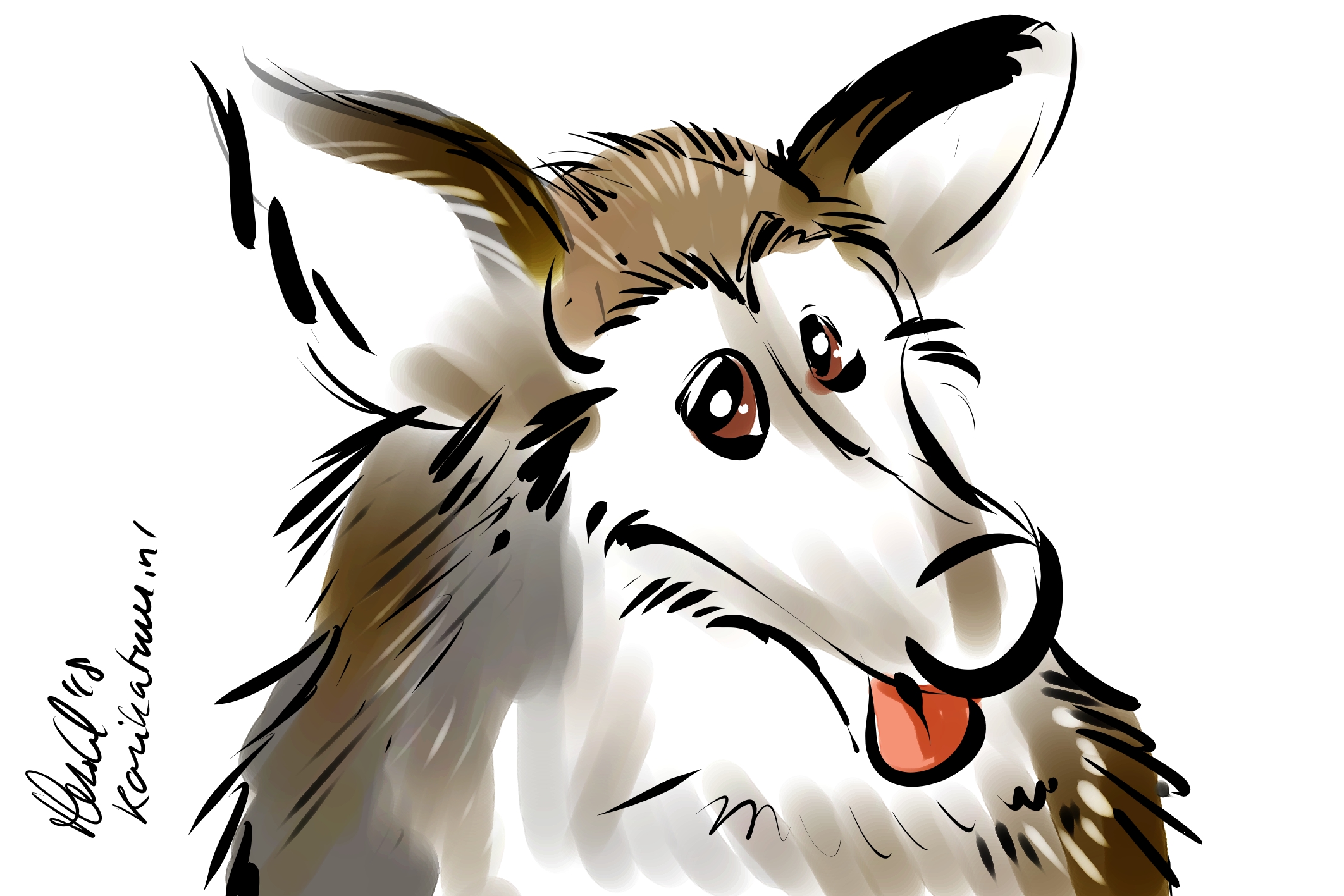 Karikatuur